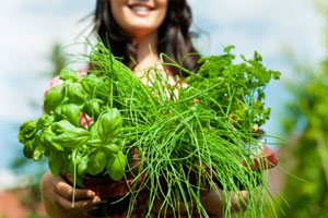 emotional and physical health benefits of gardening